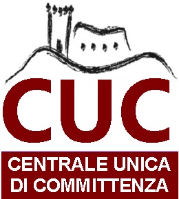 ISTITUZIONE E GESTIONE TELEMATICA DELL' ALBO DEI FORNITORI DA CONSULTARE PER AFFIDAMENTI DI LAVORI, BENI E SERVIZI 