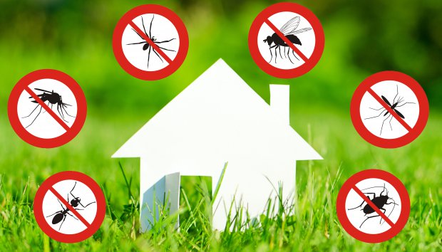AVVISO ALLA CITTADINANZA - DISINFESTAZIONE