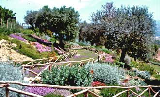 Giardino Officinale S. Maria di Propezzano